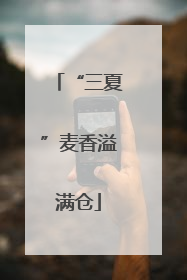 “三夏”麦香溢满仓